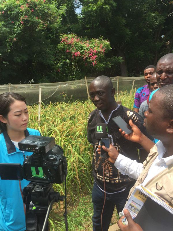 Dr Kofi Ayirebi Dartey briefing the media on the new varieties of rice