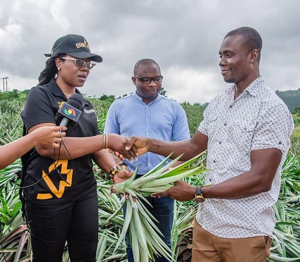  Aburi GEPA to supply 13.3 million variety of pineapples to farmers for 2019