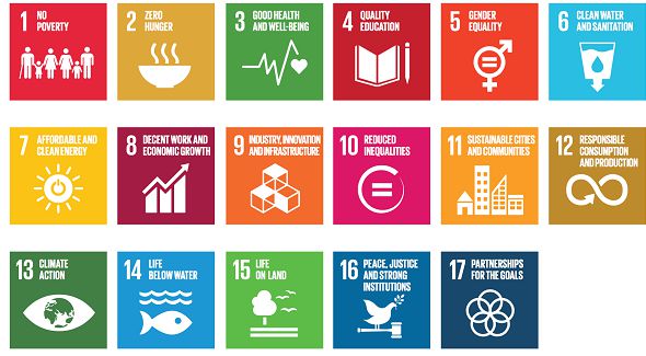 ‘Some category of Ghanaians have  not benefited from progress of SDGs’