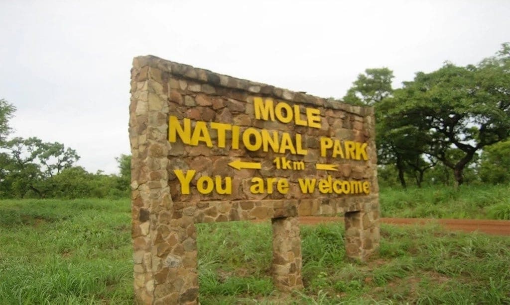 SHS leaver gone missing at Mole Park 