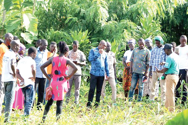 The participants, during a demonstration on a conservation agriculture field