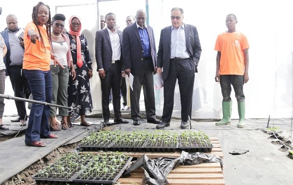 Dr Florence Vanderpuye (left), showing Dr Hafez Ghanem (2nd right), Mr Henry Kerali (3rd right), and other directors some seedlings at the Rosh Pinna Farms during the visit