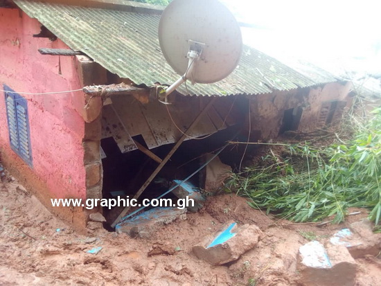 Tragedy as falling tree crushes five siblings to death