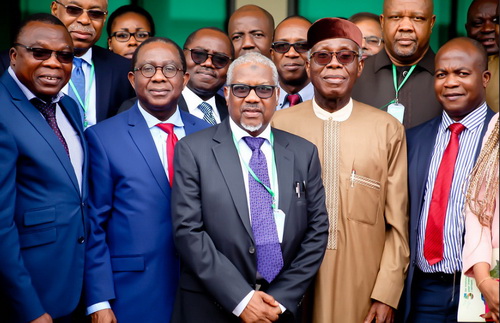 Nigeria: Investors say AfDB’s special agro-industrial processing zones will drive agricultural revolution