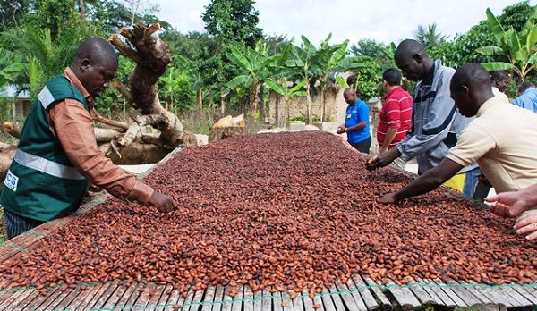 Local industries need support to boost export drive