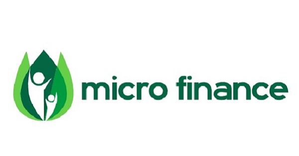  List microfinance companies on alternative market