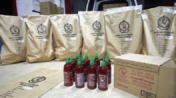  Police say the 768 bottles of hot sauce were en route to a lab so the drugs could be extracted