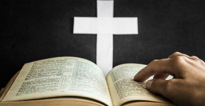Christ Embassy to launch pidgin version of Holy Bible soon — pastor