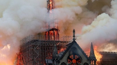 How an underwater forest in Ghana could help rebuild Notre-Dame Cathedral