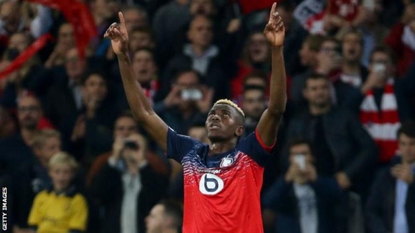 Nigeria's Victor Osimhen has scored eight goals in 11 appearances for Lille