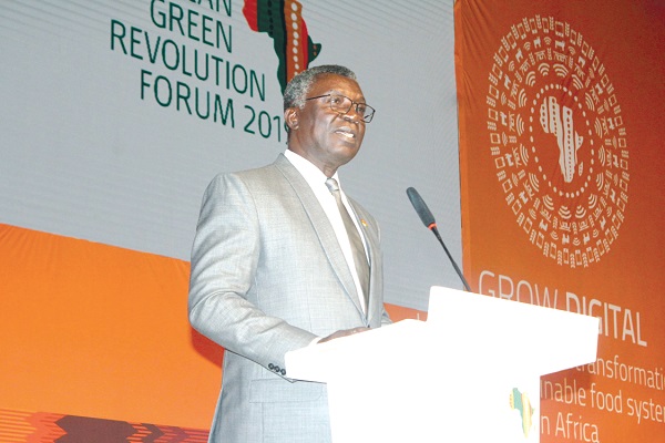 Prof Kwabena Frimpong Boateng (inset) delivering  the keynote address on behalf of  the Vice-President, Dr Mahamudu Bawumia at the opening ceremony of the African Green Revolution Forum (AGRF) 2019. Picture: Maxwell Ocloo