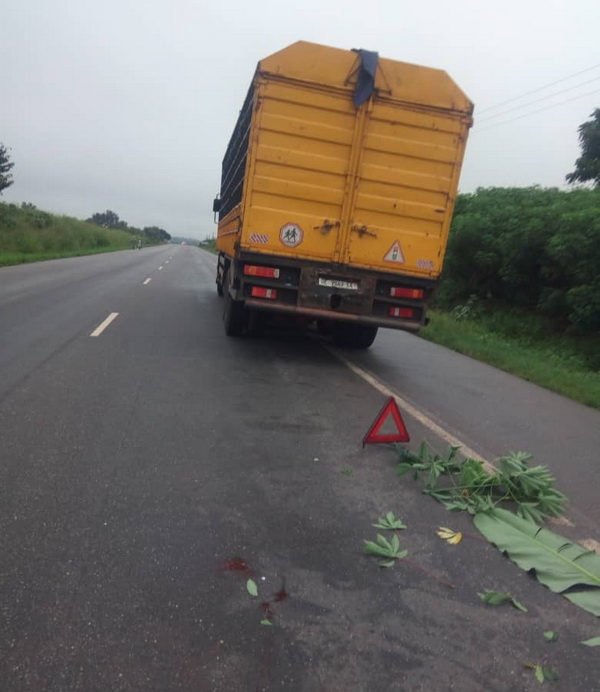 Cargo truck knocks and kills police inspector