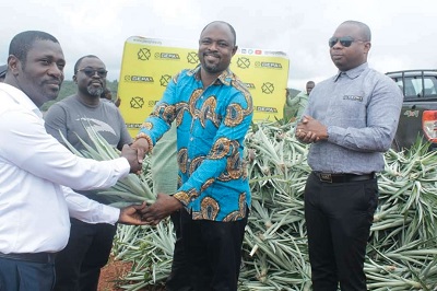  Mr Albert Kassim Diwura (2nd right), Deputy Chief Executive Officer, HR and Administration, GEPA, presenting a sucker to Mr Albert Amponsah, CEO of Albe Farms, while Mr Samuel Dentu (right), Deputy Chief Executive, Operations and Finance, at GEPA, and Mr Frederick Kobbyna Aquaah, Director of Operations, Ekumfi Fruits and Juices Factory, look on. 