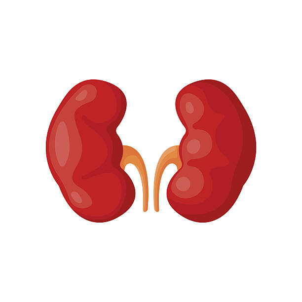 children are at risk of kidney diseases