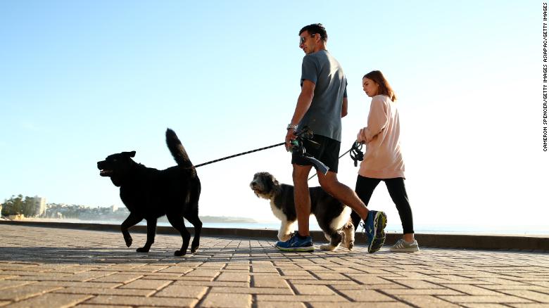 Australia: Pet owners who fail to walk their dogs daily face $2,700 fine