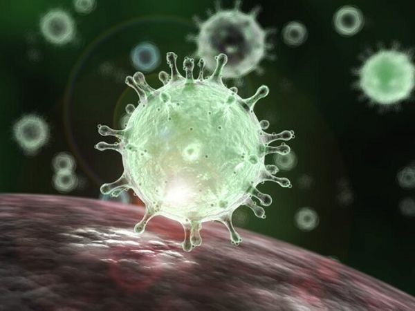 At least 300,000 Africans expected to die in pandemic - U.N. agency