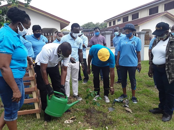 Adentan Marshallans, Assembly plant trees