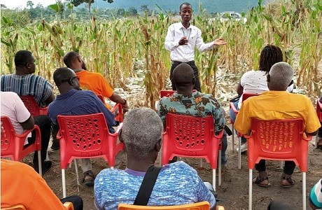 Dr Amos Azinu educating farmers on the new maize variety at the demonstration farm at Otareso