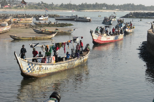 Reduce number of canoes in Ghana to 9,000 - Fisheries expert to govt