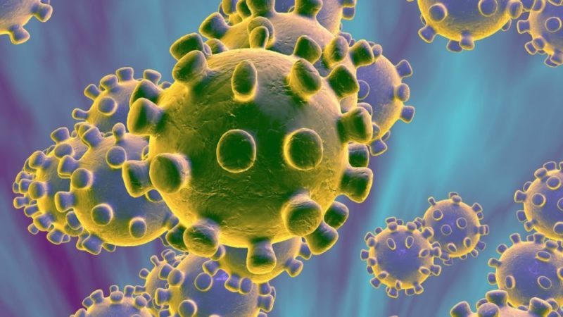Coronavirus in Africa: 'Signs of hope' as cases level off