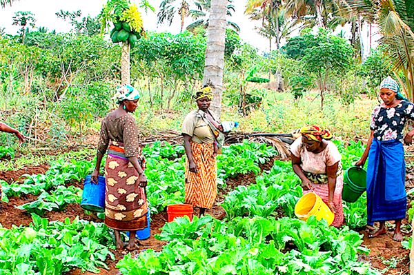  Providing needed interventions to women in agriculture will improve their livelihoods
