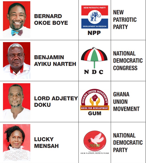 Ledzokuku NDC frets over ‘delayed’ results