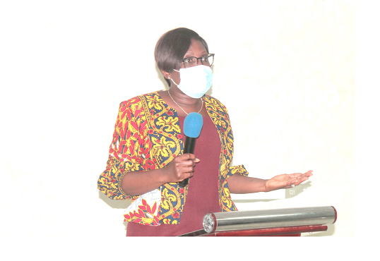 Ministry holds consultative meeting on child