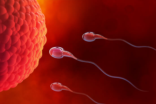 Knowing more about infertility