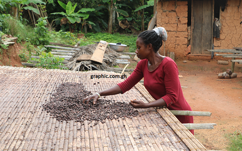 Farmers’ welfare; key to boosting Ghana’s cocoa production 