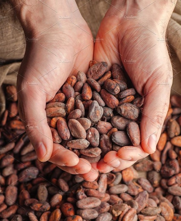 Directive to use E-scales to weigh cocoa beans positive 