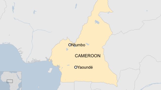 Children among 22 killed in attack on Cameroon village