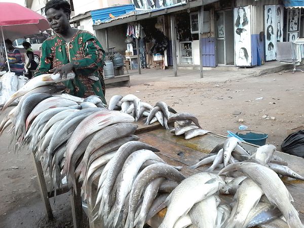 Lamiorkor arranging the fish for sale