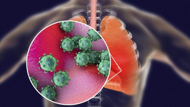 Two coronavirus cases confirmed in UK