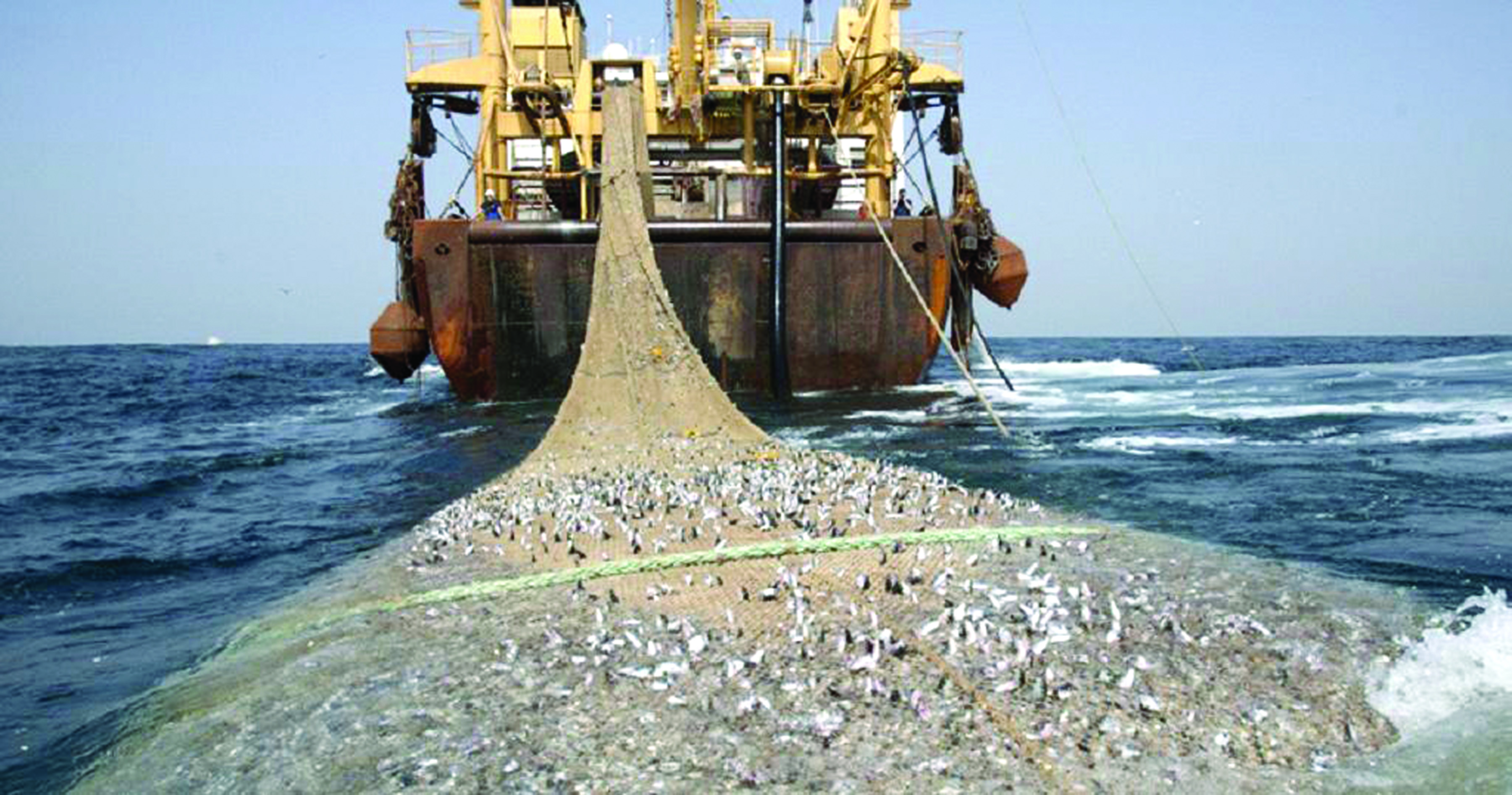 Canoe fishermen to embark on protest against 'saiko' fishing