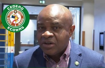 Prof Stanley Okolo, Director General of the West Africa Health Organizatio