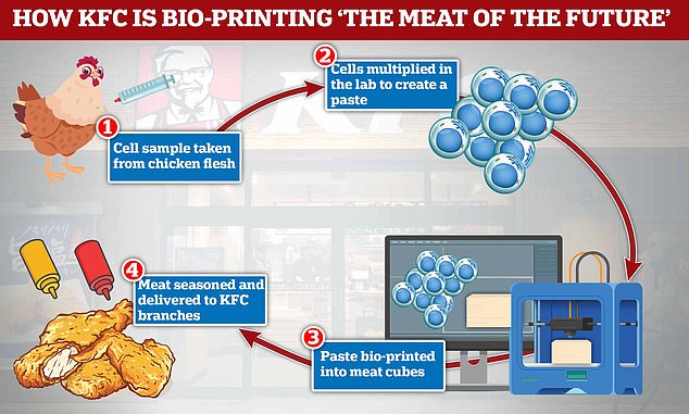 Nuggets of the future? KFC is working with a Russian bioprinting company to 3D-print CHICKEN meat using animal cells cultivated in a lab