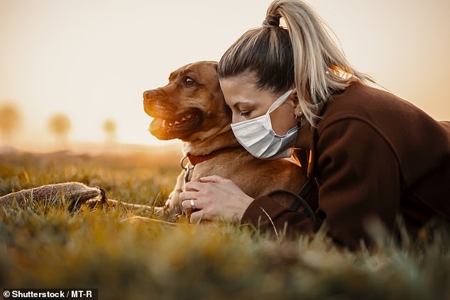 Scientists warn that animals could become 'reservoirs' of the virus even after it is eradicated in humans