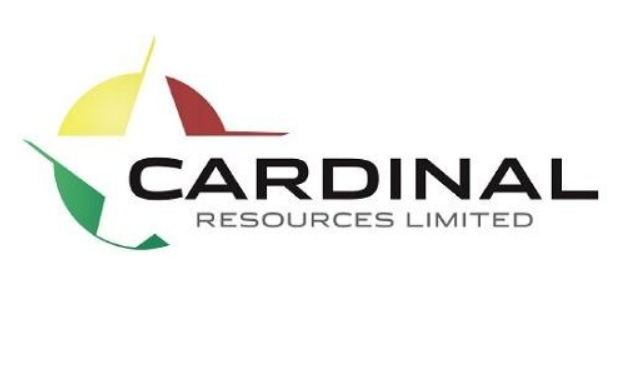 China’s Shandong Gold to buy Ghana-focused Cardinal Resources for $221m