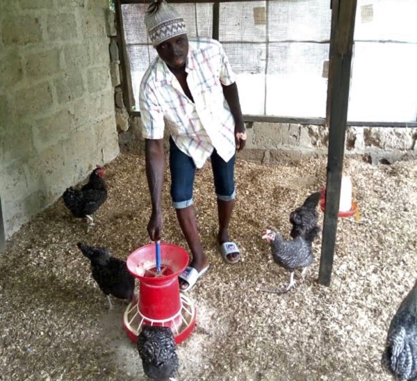 Mr Kasim Suraj at his poultry farm