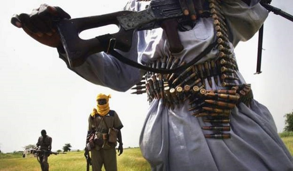 Conflict between rebels and pro-government militias began in 2003