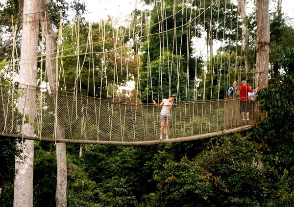 The canopy walkway is one of the facilities at Kakum