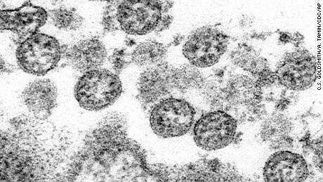 A small study that tested dozens showed eight participants developed antibodies against coronavirus