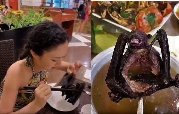 Wuhan BANS eating wild animals