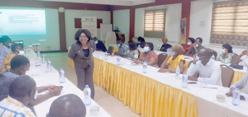 Dr Enyonam Kudonoo taking the participants through the dialogue session
