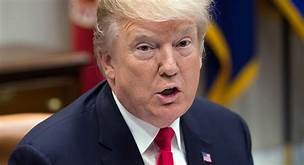 "The campaign, which I won, by the way": Trump falsely claims election win