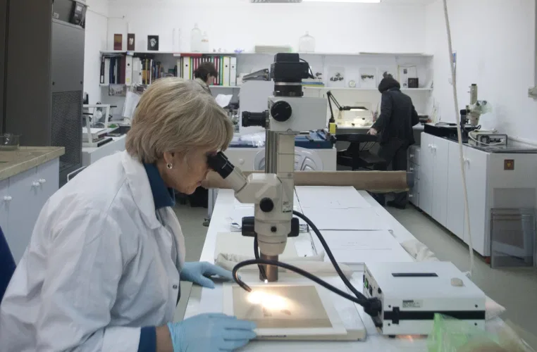 ‘Backward in time’: Israeli scientists claim to reverse ageing