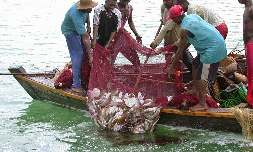 Farmers Day: A look at fishing sector