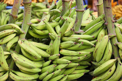 Plantain festival - may it remain so each year