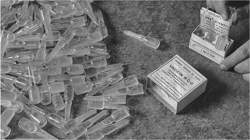 image captionBCG (Bacillus Calmette-Gurin) vaccine for tuberculosis, pictured at the Pasteur Institute in Paris in 1931.