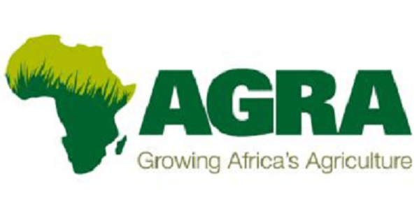 AGRA supports production of certified seeds